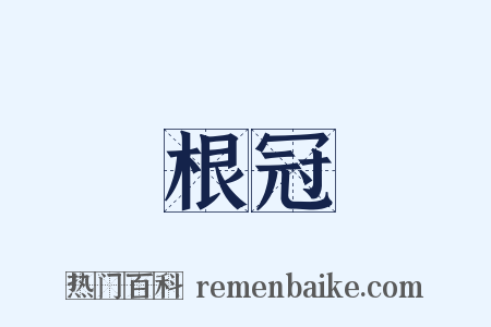 根冠是什么意思的图片